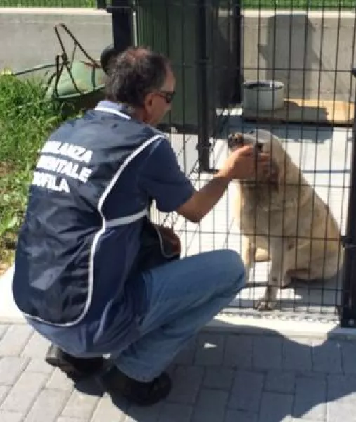 Le guardie zoofile della Lida, in collaborazione con la Polizia municipale, svolgeranno controlli sul territorio