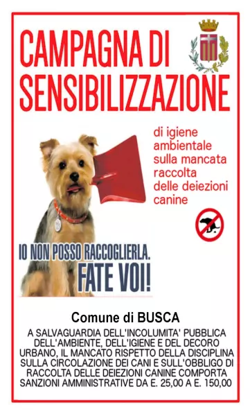 Il manifesto della campagna