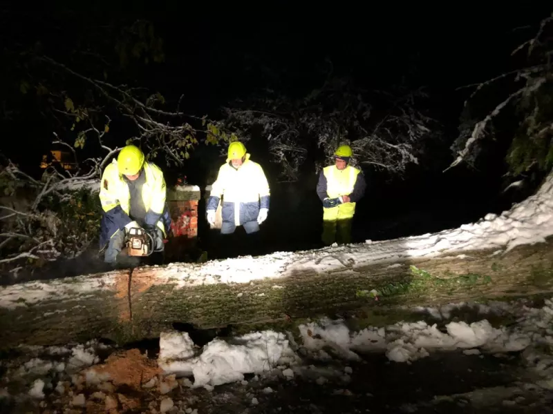 Un intervento in seguito alla nevicata dello scorso novembre