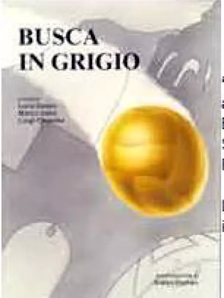 Busca in grigio, il libro curato nel 1991 da Luca Gosso, Marco Gallo e Luigi Chiamba La storia della squadra di calcio di Busca, dalla sua nascita, negli anni Venti, passando per la gloriosa militanza in serie D  nel 1977 