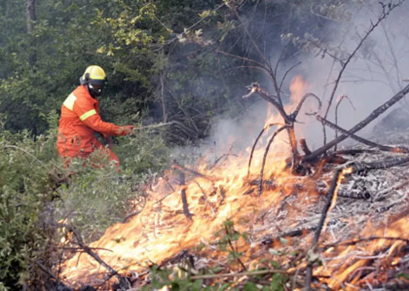 Le condizioni atmosferiche di questi giorni favoriscono gli incendi boschivi