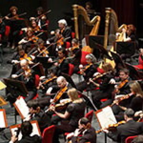 L'orchestra del teatro Regio di Torino