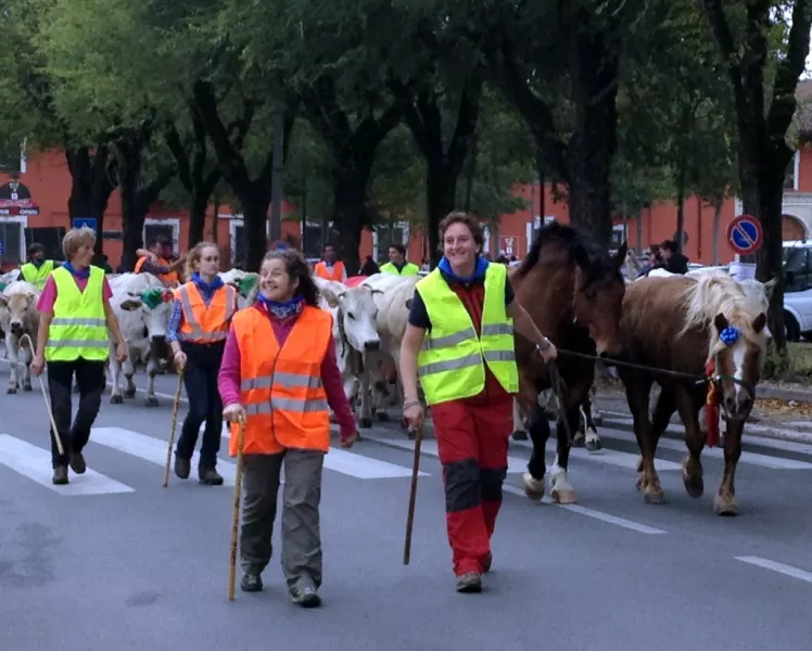 L'arrivo in centro:  qui nei pressi piazza Fratelli Mariano, che un tempo ospitava il mercato del bestiame