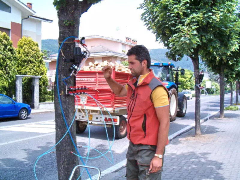 Il tecnico sta impostando gli strumenti che iniettano nel tronco i fitofarmaci