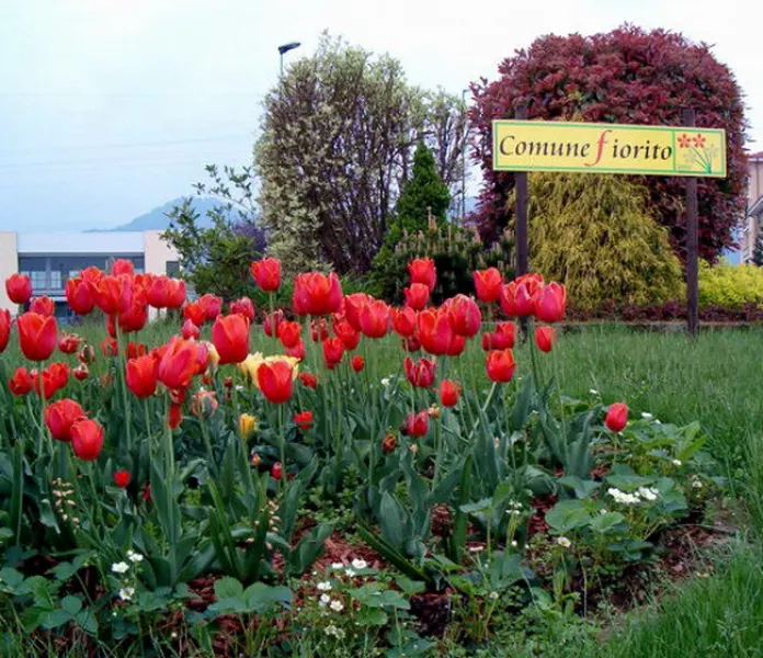 Busca Comune fiorito: la targa con due fiori nella rotonda di zona Loreto