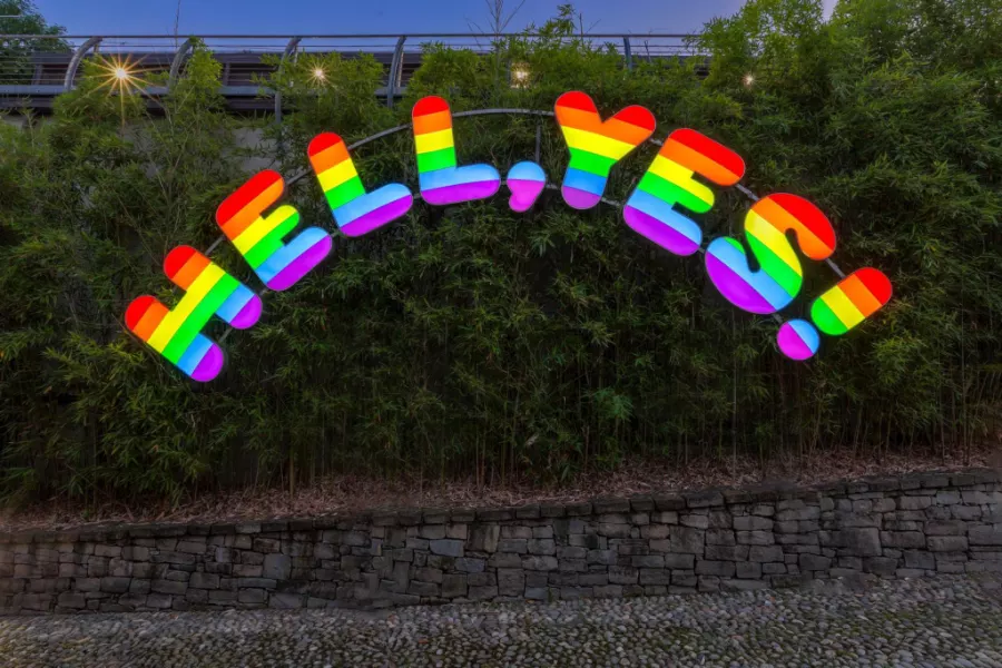 Una delle opere in collezione