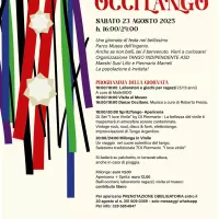 Busca Occitango