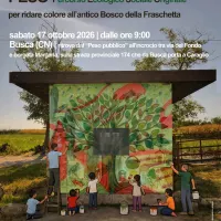 Il bosco ritrovato