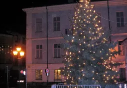 Il tradizionale albero di Natale in piazza della Rossa, cuore del centro città