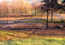 Il Giardino della Luna in costruzione