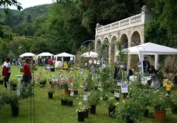 L'edizione dello scorso anno di Flora nel parco del Roccolo