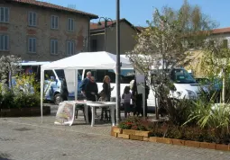 I bus gratuiti in partenza e arrivo da piazza Santa Maria