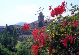 Il maggio buschese sarà ricco di eventi: il concorso musicale internazionale, le Olimpiadi dei Comuni, la Passeggiata dei Lancia e il concorso dei Giardini e dei balconi fioriti