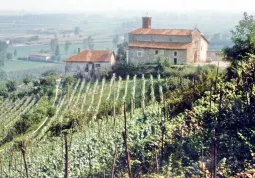 La collina di San Martino