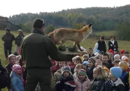 Lezione alle soglie del bosco