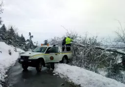 Volontari della Protezione civile comunale al lavoro lungo una strada di collina durante una nevicata dello scorso inverno