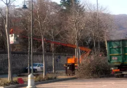 La potatura degli alberi in piazza Fratelli Mariano