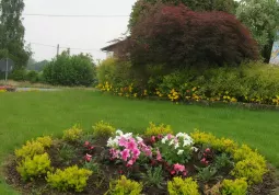 Un'aiuola sulla rotonda di zona Loreto con le pinte di fiori offerte dalla casa circondariale