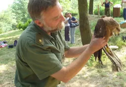 Il guardiacaccia provinciale Roberto Pellegrino con il falco pecchiaiolo