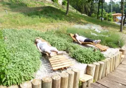 Nel giardino della luna fra le piante aromatiche