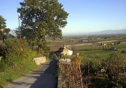 La chiesa romanica di San Martino vista dall'alto della collina