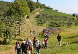 Passeggiata fra i vigneti