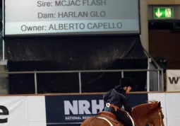 Matteo durante una gara internazionale