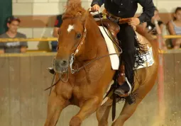 Ancora il piccolo Matteo in una esibizione con  il suo cavallo RS Craggan More