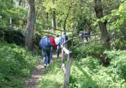 In cammino nel Giardino dei sensi, nel parco della villa