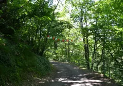 La strada che conduce all'Eremo, una passeggiata da riscoprire