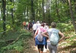 Il nuovo percorso nel parco del Roccolo