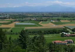 Sono esentati dalla seconda rata Imu i proprietari di terreni agricoli che li coltivano direttamente