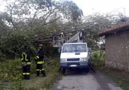 Alberi abbattuti in seguito ad una tromba d'aria nella zona Pignolo