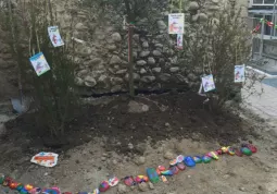 Un po' di colore... il dono dei bambini ai piccoli alberi