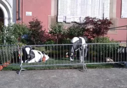 L'allestimento in piazza della Roosa che per ora non si è potuto utilizzare a causa della pioggia