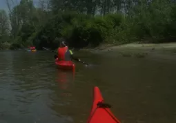 Un corso per imparare la guida del kayak in acque ferme