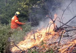 Le condizioni atmosferiche di questi giorni favoriscono gli incendi boschivi