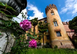 Domenica anche visite guidate al castello e al parco del Roccolo, gratuite per i residenti a Busca