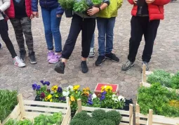Banchetto delle piante aromatiche allestito in piazza della Rossa per la campagna di raccolta fondi della Lvia