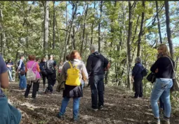 Molti  partecipanti domenica scorsa alla “Grande passeggiata nel bosco” del parco del Roccolo