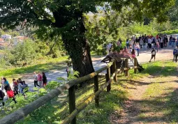 Visita della scuole ai gioielli della città