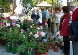 Sono saliti in moltisabato 14 e domenica 15 aprile al Castello per la mostra-mercato