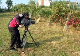 Zona tipica del Quagliano: l'operatore inquadra i vigneti della collina