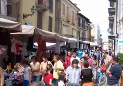 Festa del Fiore, il mercato lungo Via Umberto I