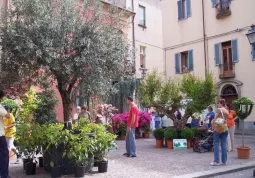 Festa 
del Fiore, il giardino allestito in Piazza della Rossa