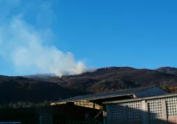 L'incendio si Ã¨ sviluppato nella mattina di venerdi scorso