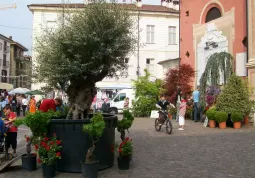 BUSCA EVENTI. Piazza della Rossa per la Festa del Fiore