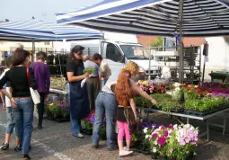 BUSCA EVENTI. Piazza Savoia per la Festa del Fiore