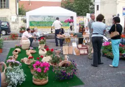 BUSCA EVENTI. Piazza Savoia per la Festa del Fiore3