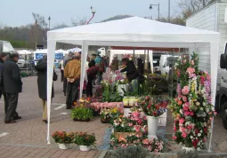 BUSCA. Festa del Fiore in Piazza Fratelli Mariano